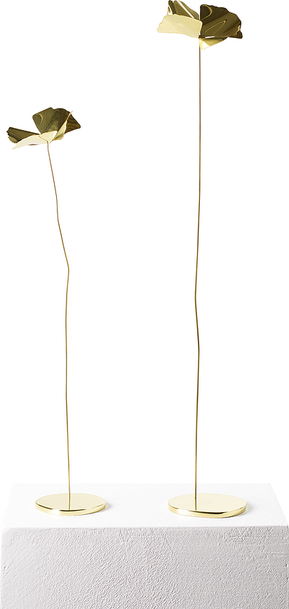 Papavero Delicato Dekoracija, cvet L, zlata