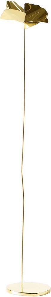 Papavero Delicato Dekoration L Blume goldfarben