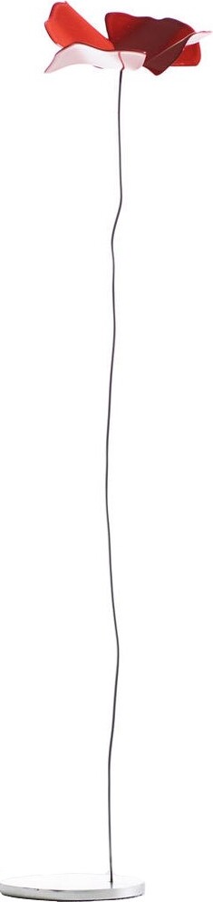Papavero Delicato Dekoration L Blume rot