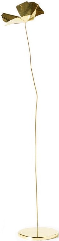 Papavero Delicato Dekoration S Blume goldfarben