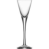 More Champagner-Gläser 70 ml 2 St.