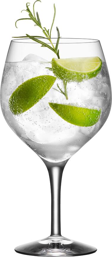 Orrefors Verres à gin tonic, 640 ml, Lot de 4