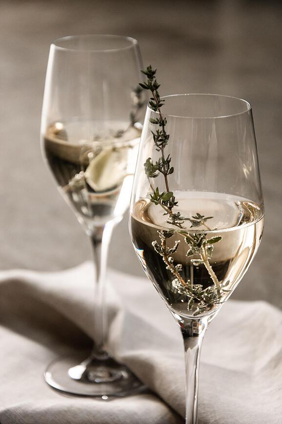 Sense Kozarci za šampanjec, 250 ml, 6 kosov