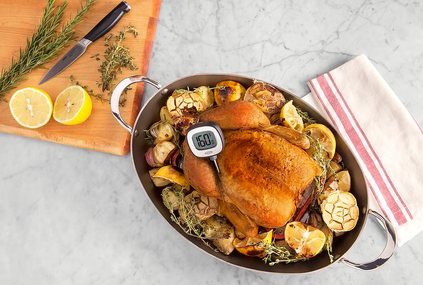 Good Grips Termometar za meso