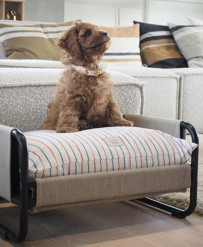 Cama para perro Milo, 72 cm, beige y negro