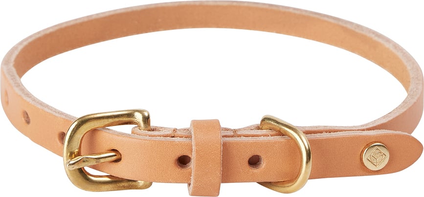 Collar para perro Robin, 52 cm, naranja