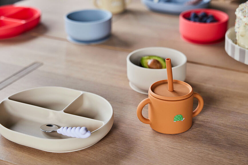 Enkei Krožnik s predelki in priseskom, bež