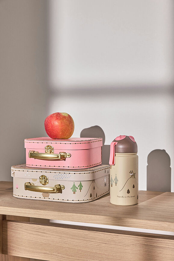 Friends in the forest Deer & Duck Boîtes de Rangement, Lot de 2