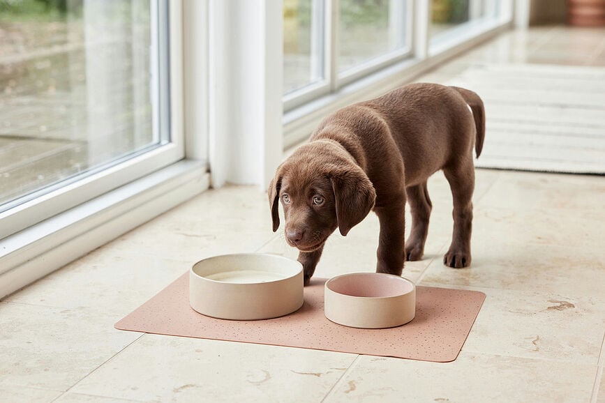 Koko Tapis de Gamelle pour chien, 34 x 50 cm, camel