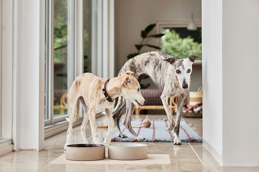 Koko Tapis de Gamelle pour chien, 34 x 50 cm, camel