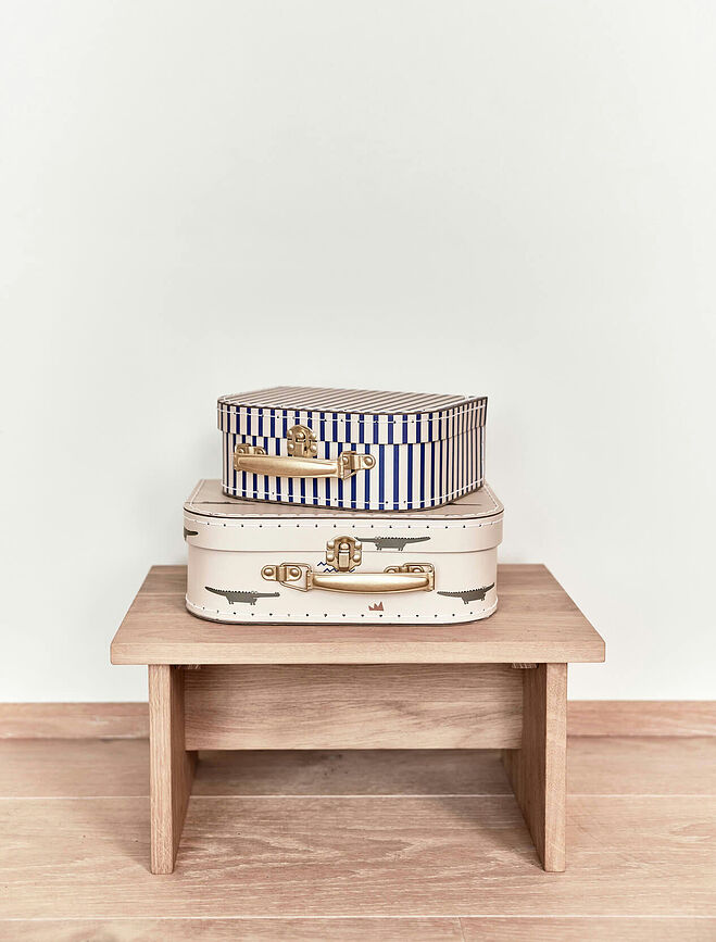 Crocodile & Stripe Posude za pohranu mini 2 kom.