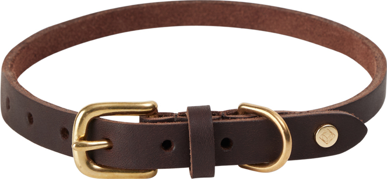 Robin Hundehalsband 46 cm, braun
