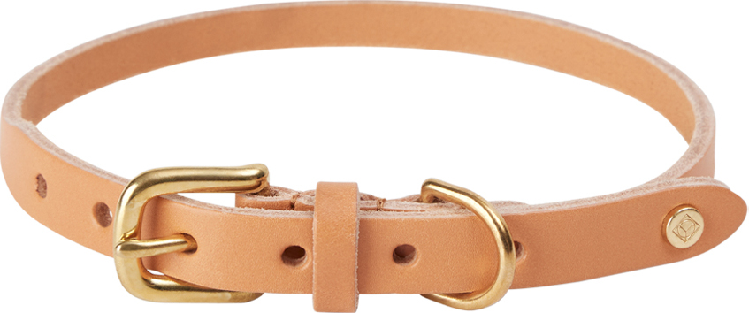 Robin Hundehalsband 46 cm, orange