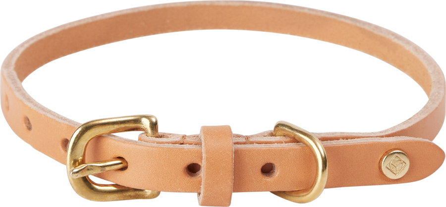 Robin Hundehalsband 52 cm, orange