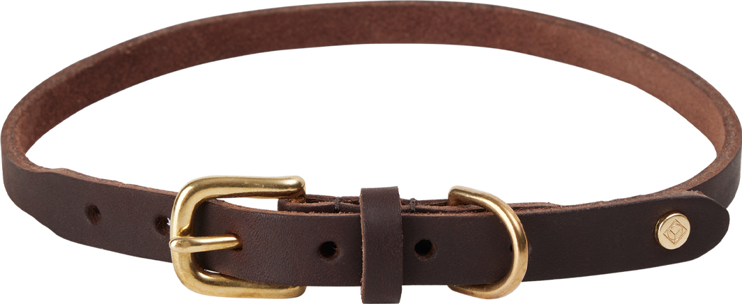 Robin Hundehalsband 58 cm, braun