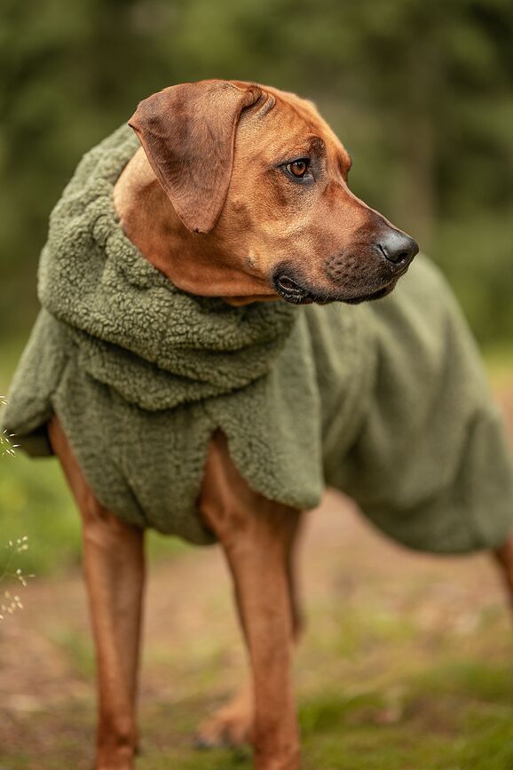 Abrigo para Perro Sherpa Paikka, 30 cm, verde oliva