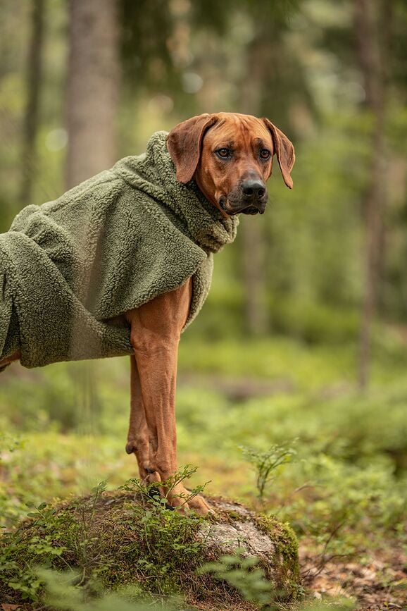 Abrigo para Perro Sherpa Paikka, 30 cm, verde oliva