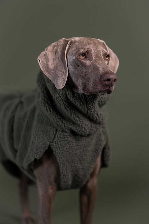 Abrigo para Perro Sherpa Paikka, 30 cm, verde oliva