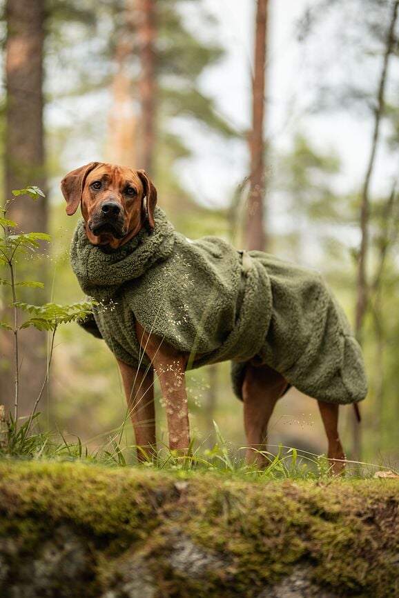 Abrigo para Perro Sherpa Paikka, 30 cm, verde oliva