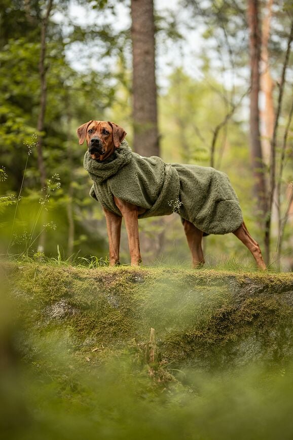 Abrigo para Perro Sherpa Paikka, 30 cm, verde oliva