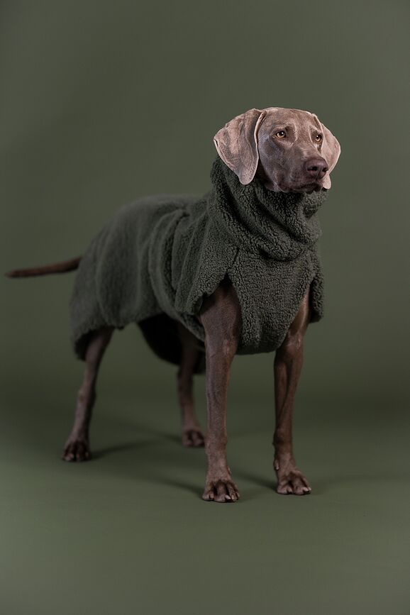 Abrigo para Perro Sherpa Paikka, 30 cm, verde oliva