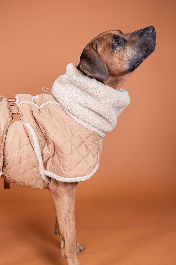 Abrigo para Perro Paikka, acolchado Sherpa, 80 cm, camel