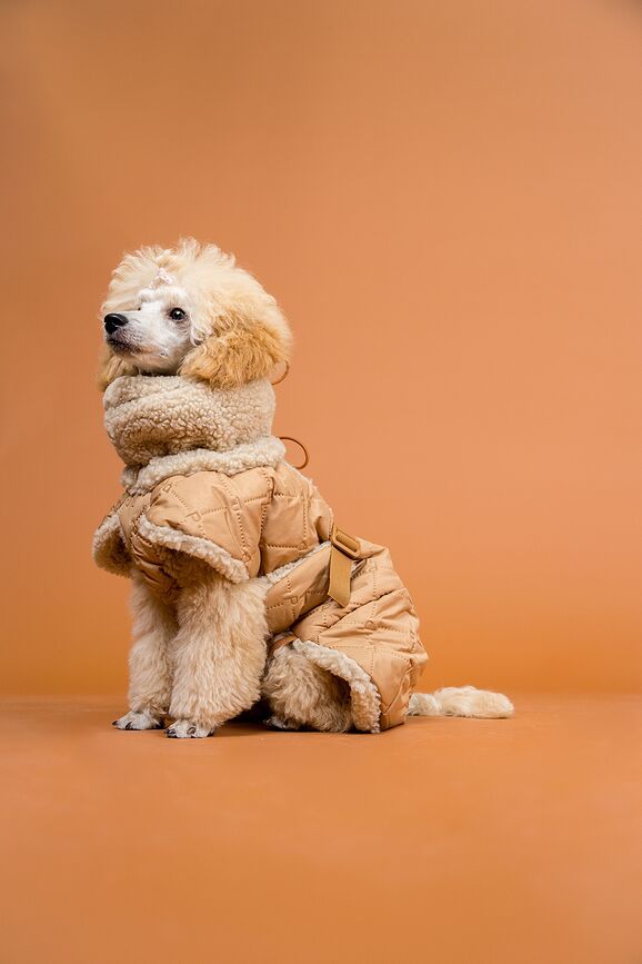 Abrigo para Perro Paikka, acolchado Sherpa, 80 cm, camel