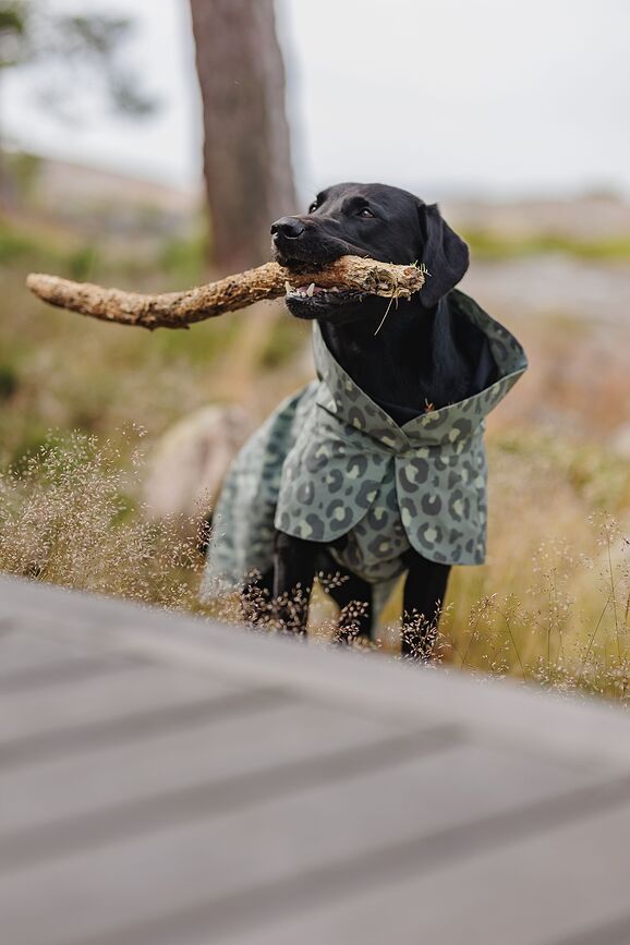 Abrigo para Perro Paikka Visibility Winter, 30 cm, estampado de leopardo verde