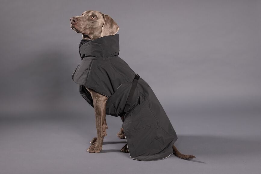 Abrigo para Perro Paikka Visibility Winter, 45 cm, negro