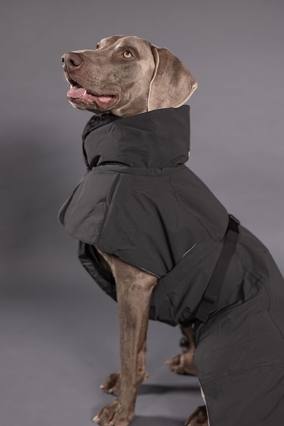 Abrigo para Perro Paikka Visibility Winter, 45 cm, negro