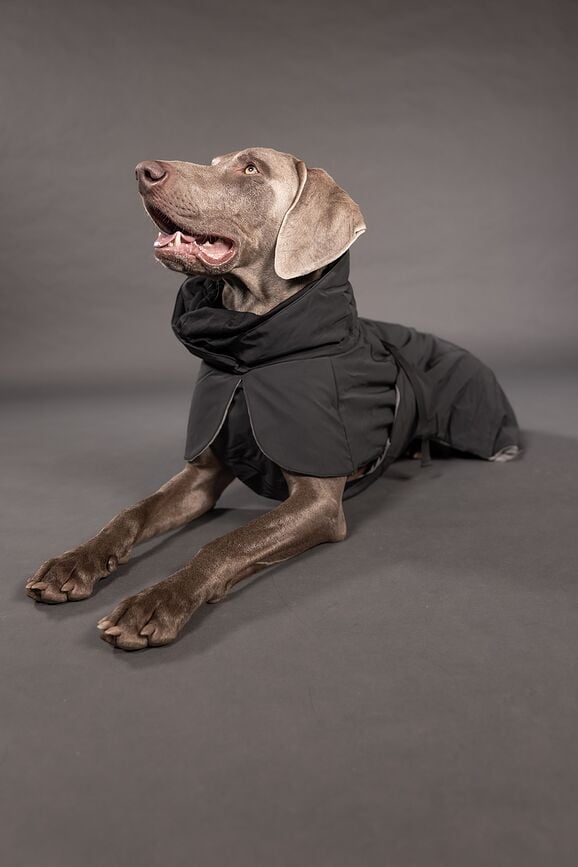 Abrigo para Perro Paikka Visibility Winter, 45 cm, negro