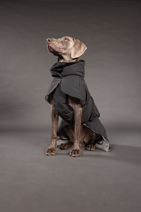 Abrigo para Perro Paikka Visibility Winter, 45 cm, negro