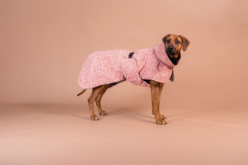 Abrigo para perro Paikka Visibility Winter, 45 cm, rosa