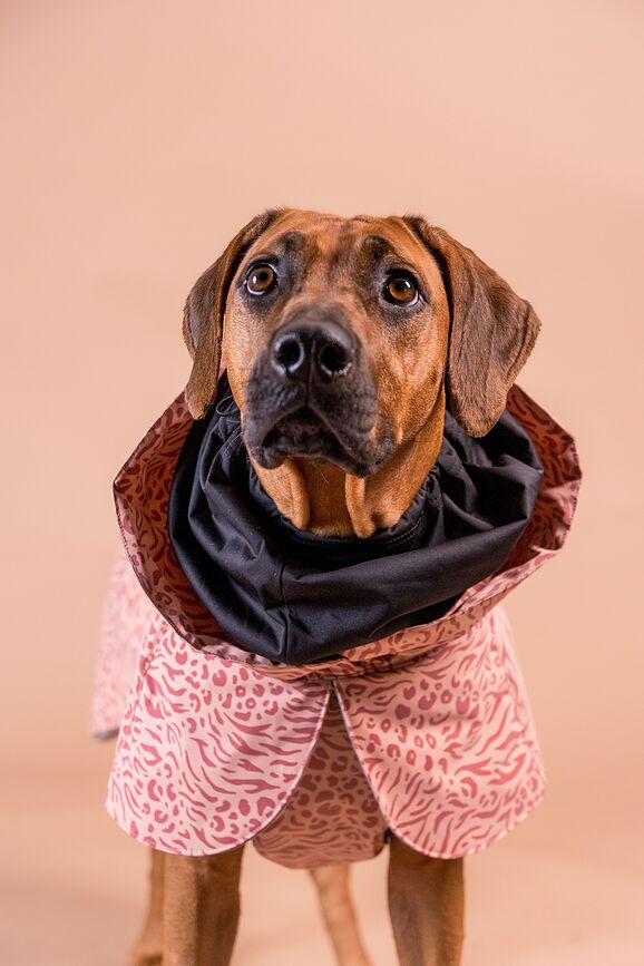 Abrigo para perro Paikka Visibility Winter, 45 cm, rosa