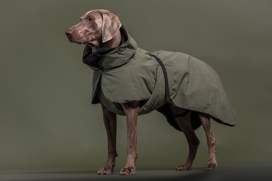 Abrigo para Perro Paikka Visibility Winter Wool, 70 cm, verde