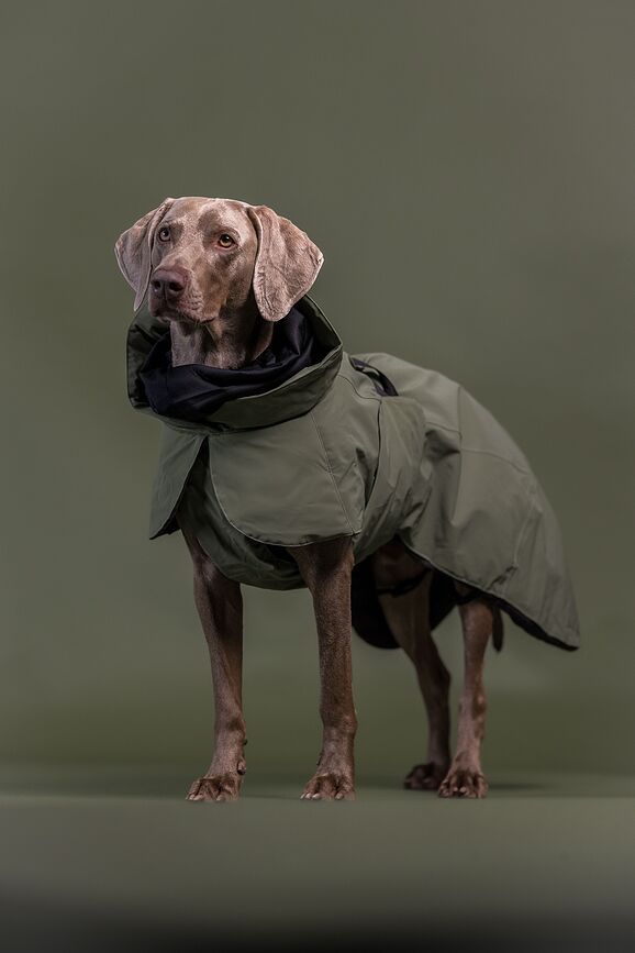 Abrigo para Perro Paikka Visibility Winter Wool, 70 cm, verde