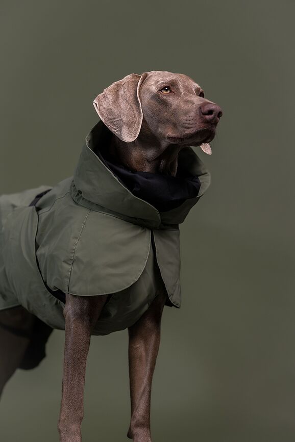 Abrigo para Perro Paikka Visibility Winter Wool, 70 cm, verde