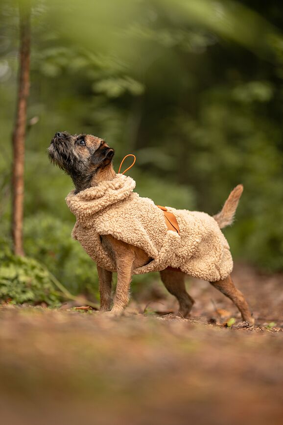 Abrigo para Perro Sherpa Paikka, 35 cm, color topo