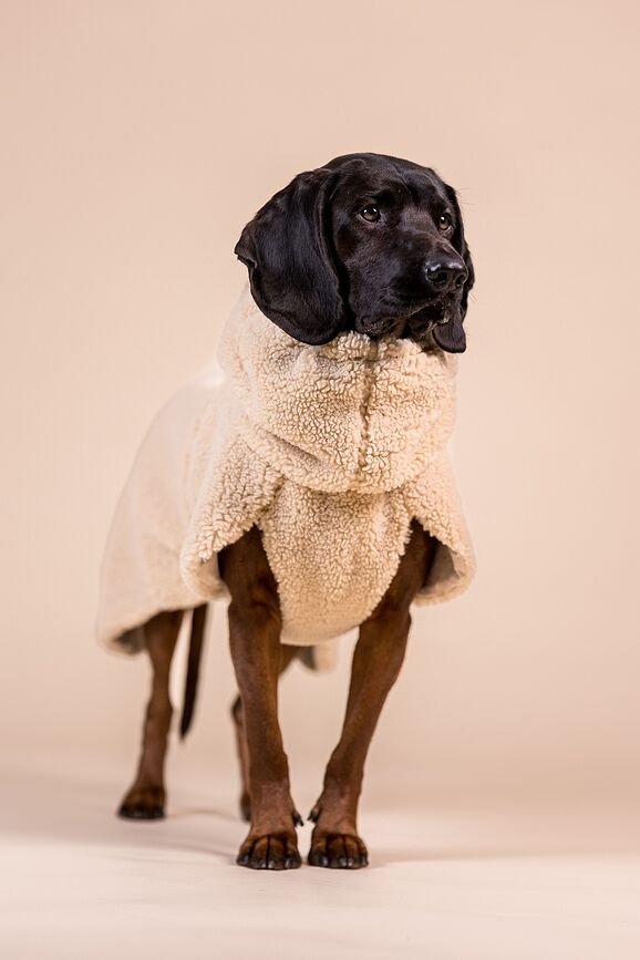 Abrigo para Perro Sherpa Paikka, 35 cm, color topo