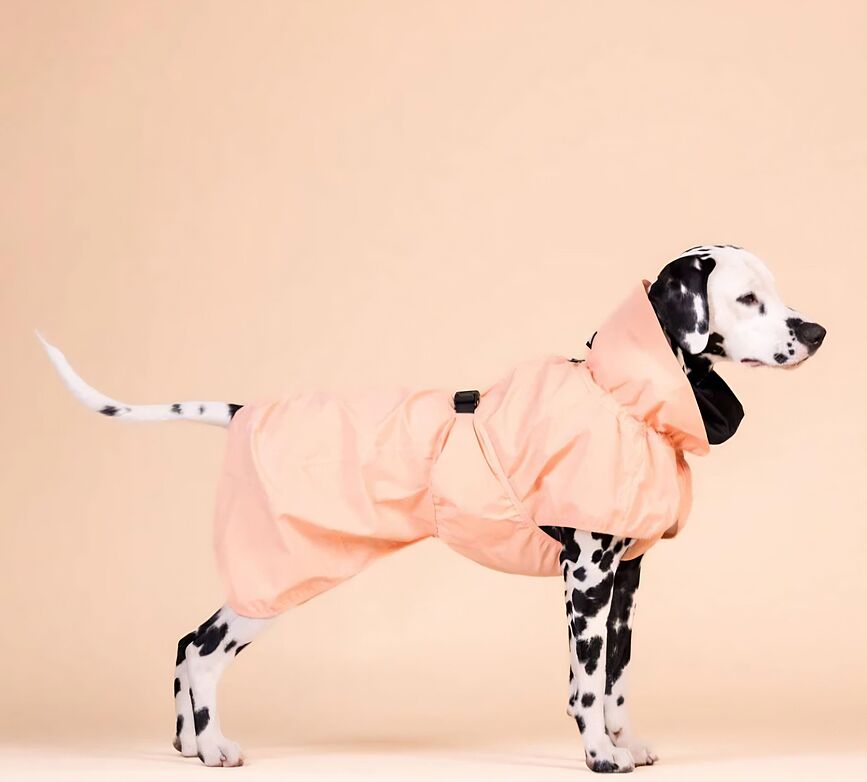 Αδιάβροχο για σκύλους Reflective Raincoat 55 cm, ροδακινί