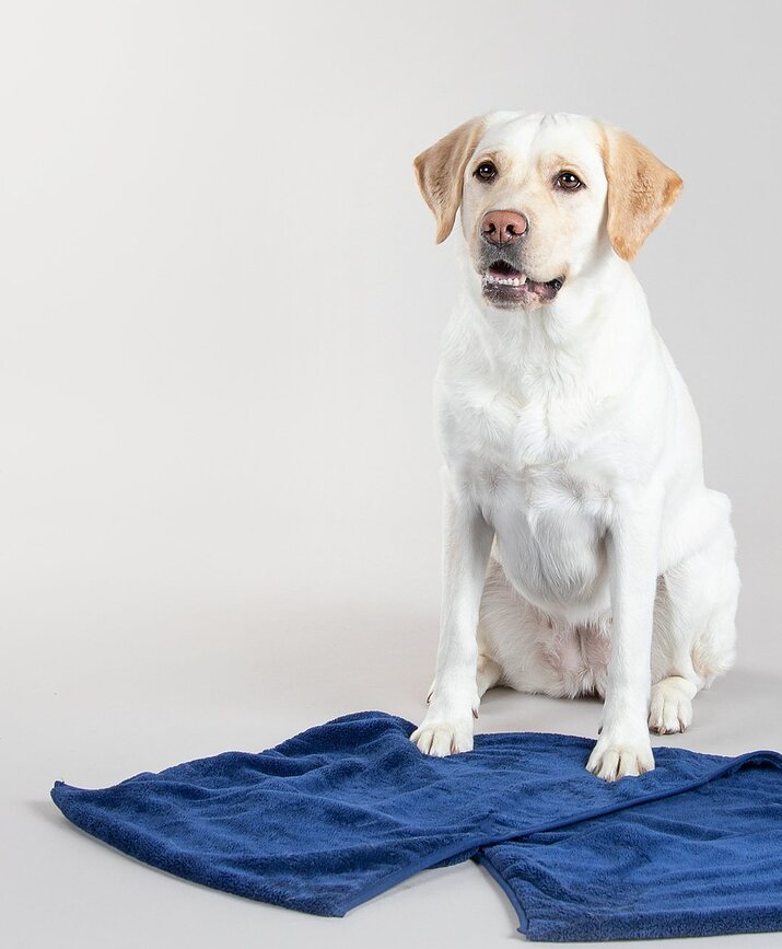 Asciugamano per cani Paikka Drying 40 x 110 cm, tortora