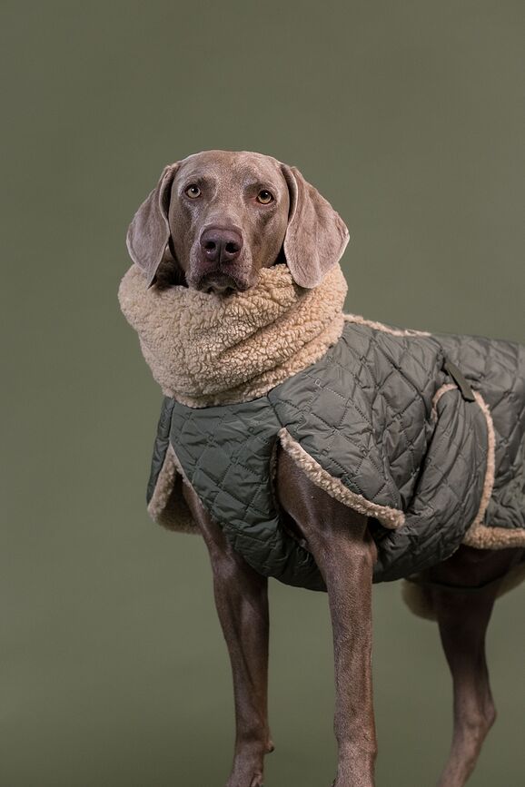 Chaqueta para perro acolchada Sherpa Paikka, 55 cm, color oliva
