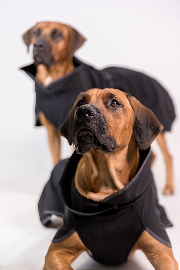 Chaqueta para Perro Softshell Paikka Recovery, 70 cm, negra