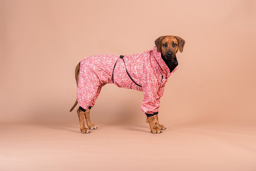 Chubasquero para perro Paikka, 55 cm, rosa