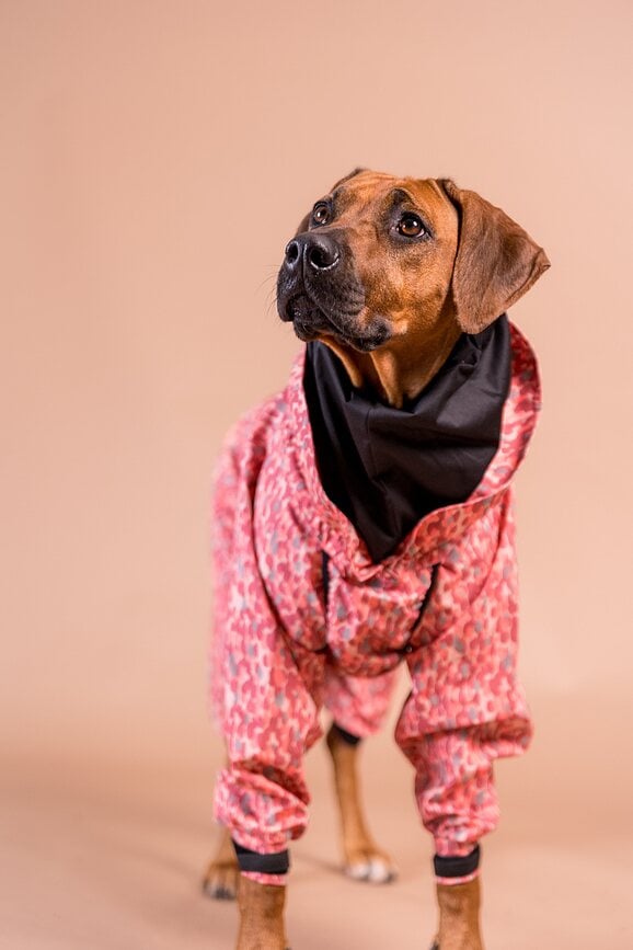Chubasquero para perro Paikka, 55 cm, rosa