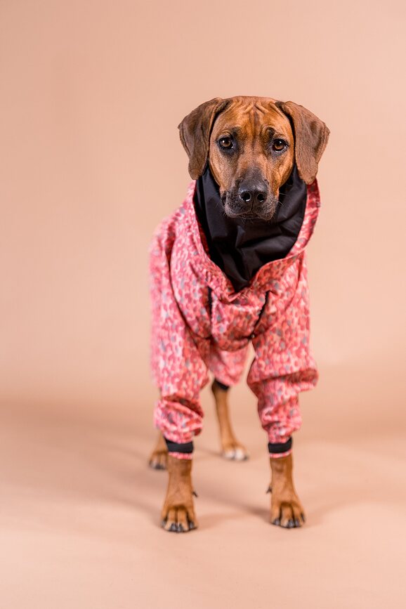 Chubasquero para perro Paikka, 55 cm, rosa