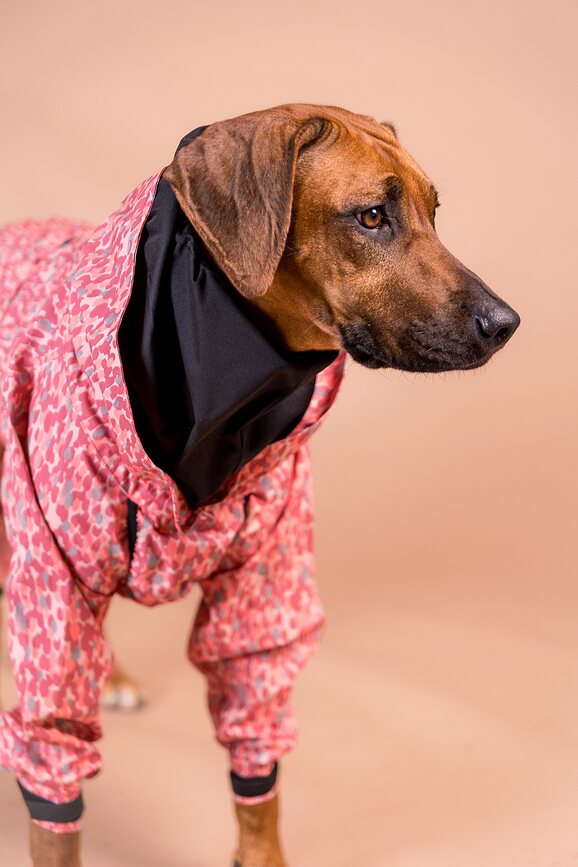 Chubasquero para perro Paikka, 55 cm, rosa