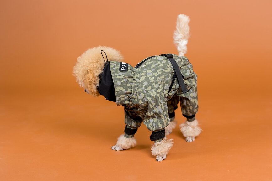 Chubasquero para Perro Paikka, 70 cm, verde