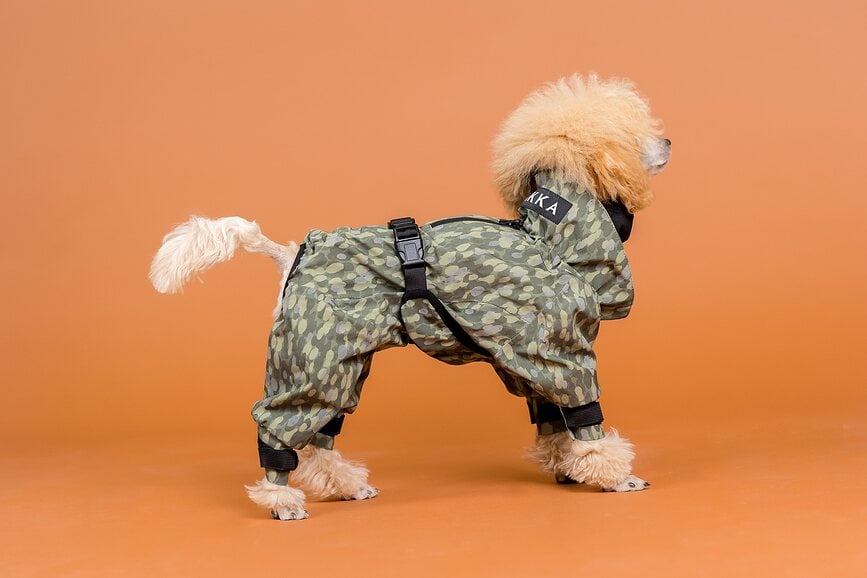 Chubasquero para Perro Paikka, 70 cm, verde