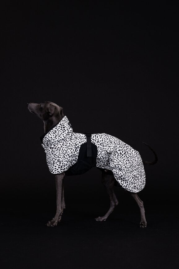 Impermeable para perro Paikka 2.0, 40 cm